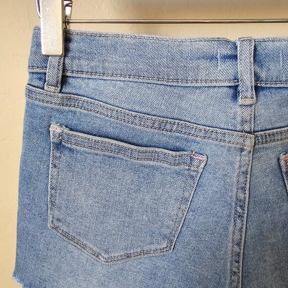 DL1961 Lucy Cutoff Two Tone Shadow Panel Denim Shorts - Picture 8 of 14